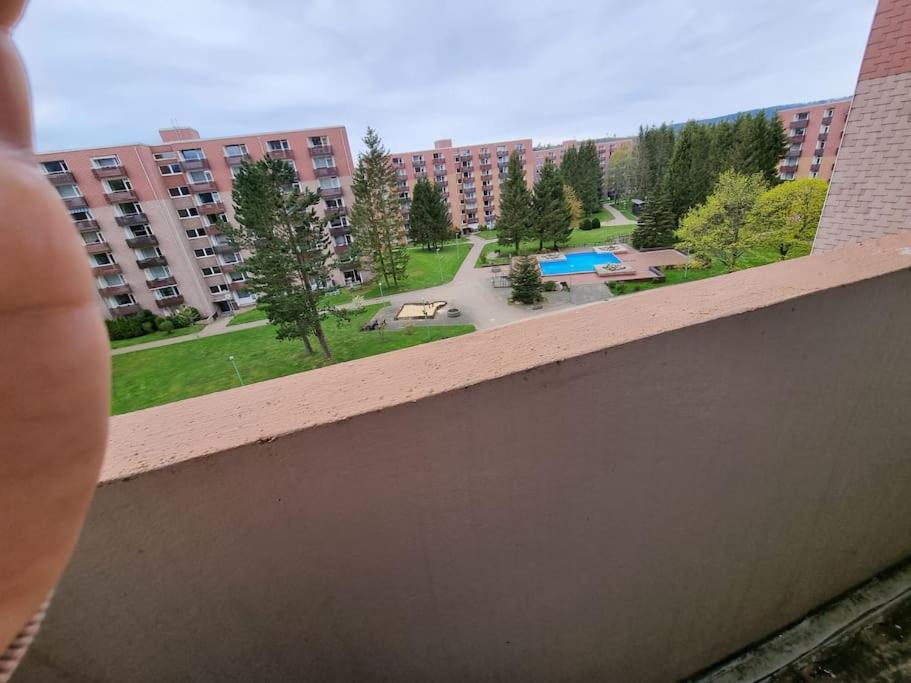 Ferienwohnung Altenau Im Harz, Hunde Exterior foto